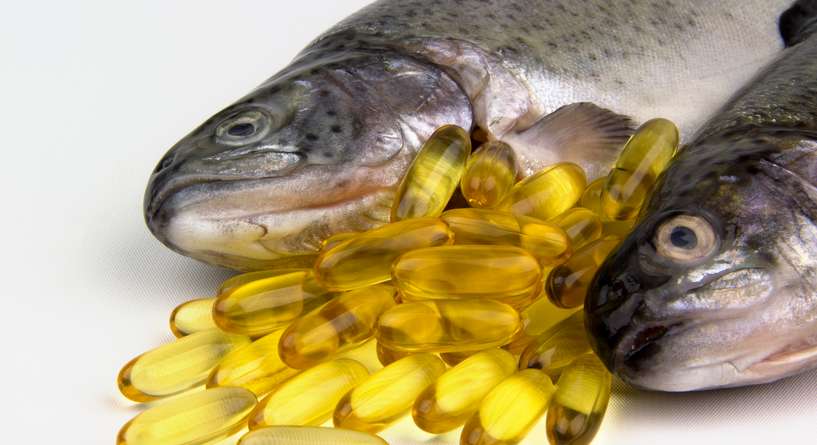 Trout, Fish, Animal