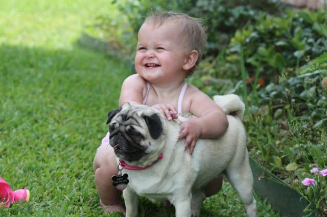 baby and dog