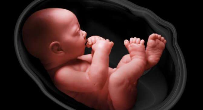 10 أمور مذهلة يشعر بها الجنين في بطن أمه