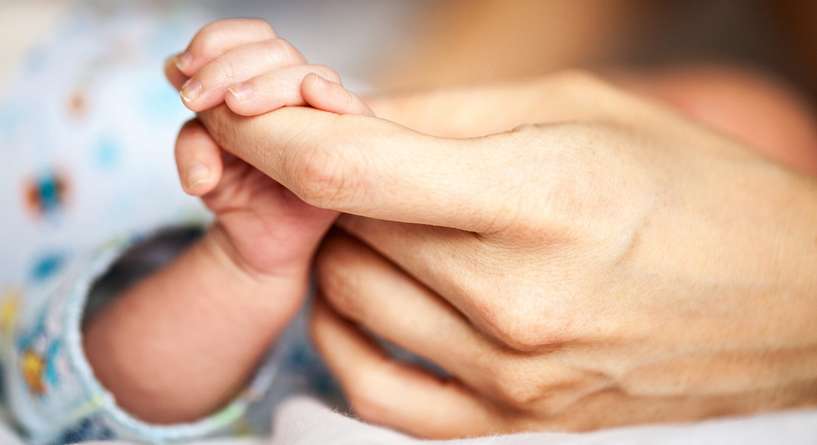 Hand, Person, Human