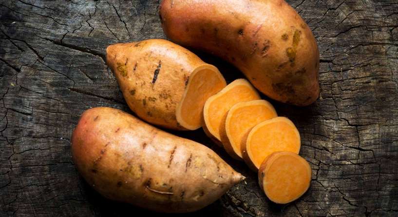 فوائد البطاطا الحلوة للحامل والجنين