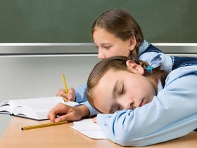 Person, Human, School