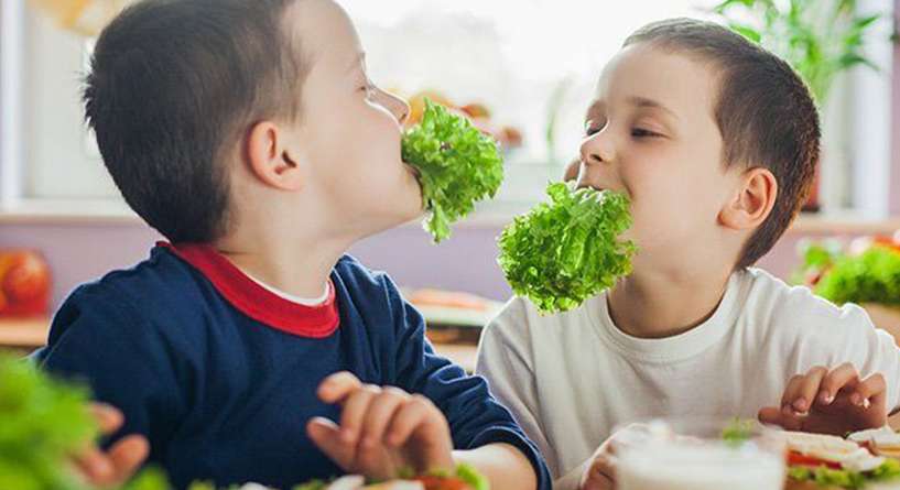 اطعمة تزيد التركيز