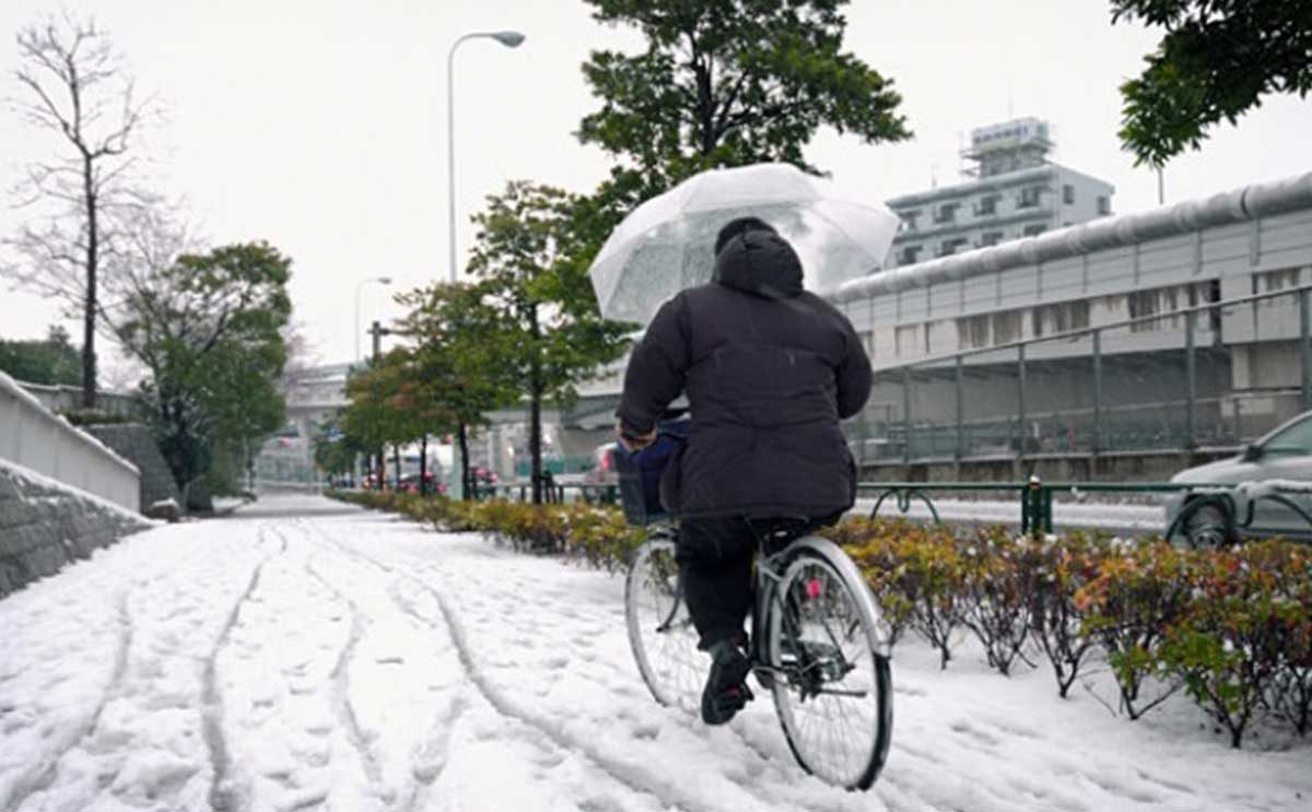 منصة للمظلة على الدراجات الهوائية: