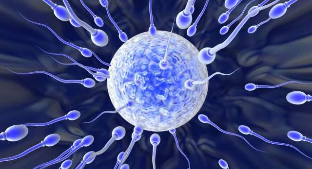 الحمل ومراحل نمو الجنين في الأسبوع الثالث