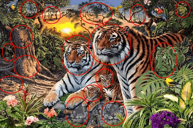تحدي ايجاد النمور ال16 المختبئة في الصورة