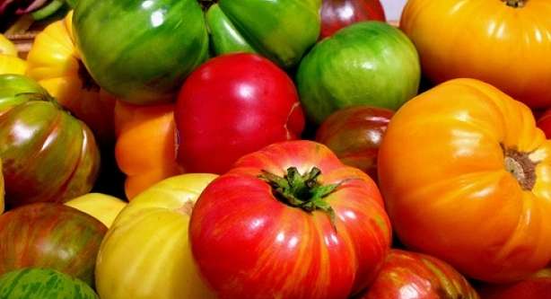 فائدة الطماطم بحسب اللون | اللون الاحمر، اللون البنفسجي، اللون الاخضر