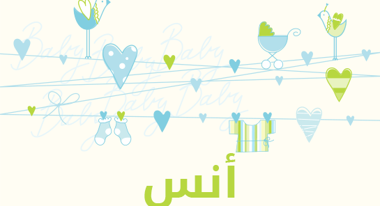 معنى اسم أنس