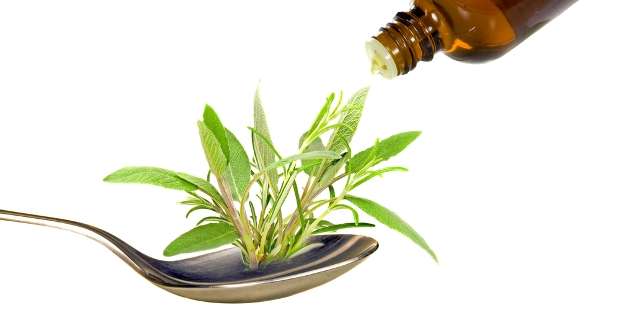 7 طرق لعلاج لسعات الحشرات
