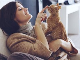 4 مقومات ضرورية لإختيار الغذاء الأمثل لدى القطط