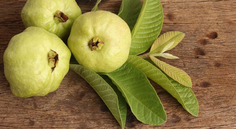 اسباب واعراض فقر الدم البسيط