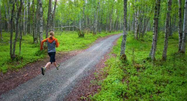 Person, Human, Path