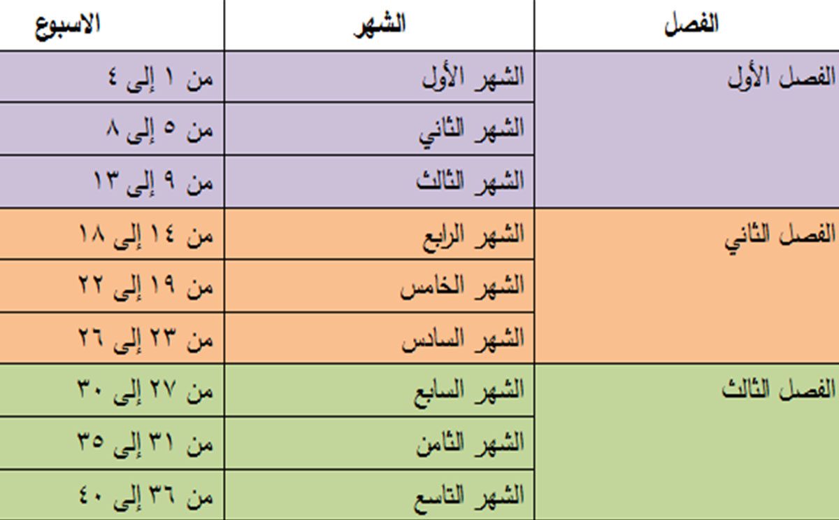 جدول الحمل بالاسابيع