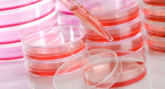 علاج الامراض بخلايا دم السرة عند الاطفال