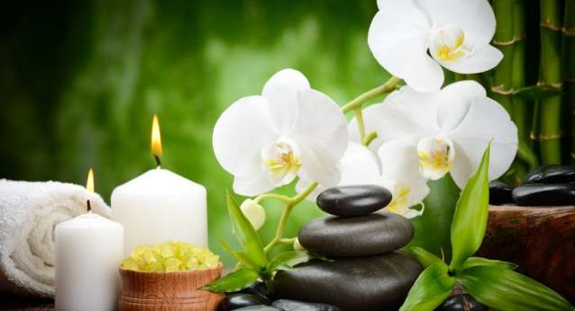 Plant, Petal, Flower