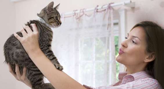 إختبار للشخصية من أول حيوان تتم رؤيته في الصورة