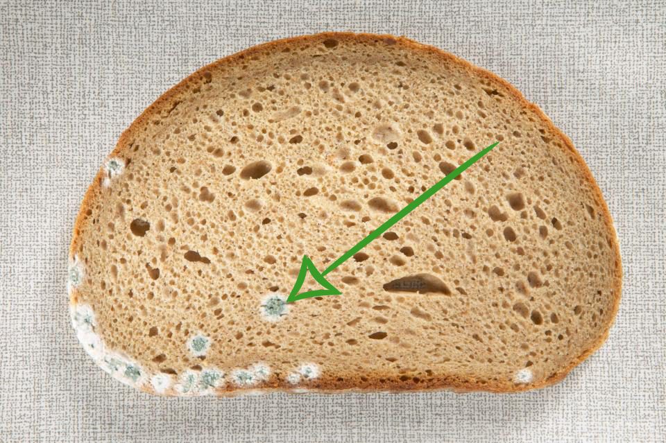 إزالة الأجزاء المتعفنة من الخبز عادة مضرة