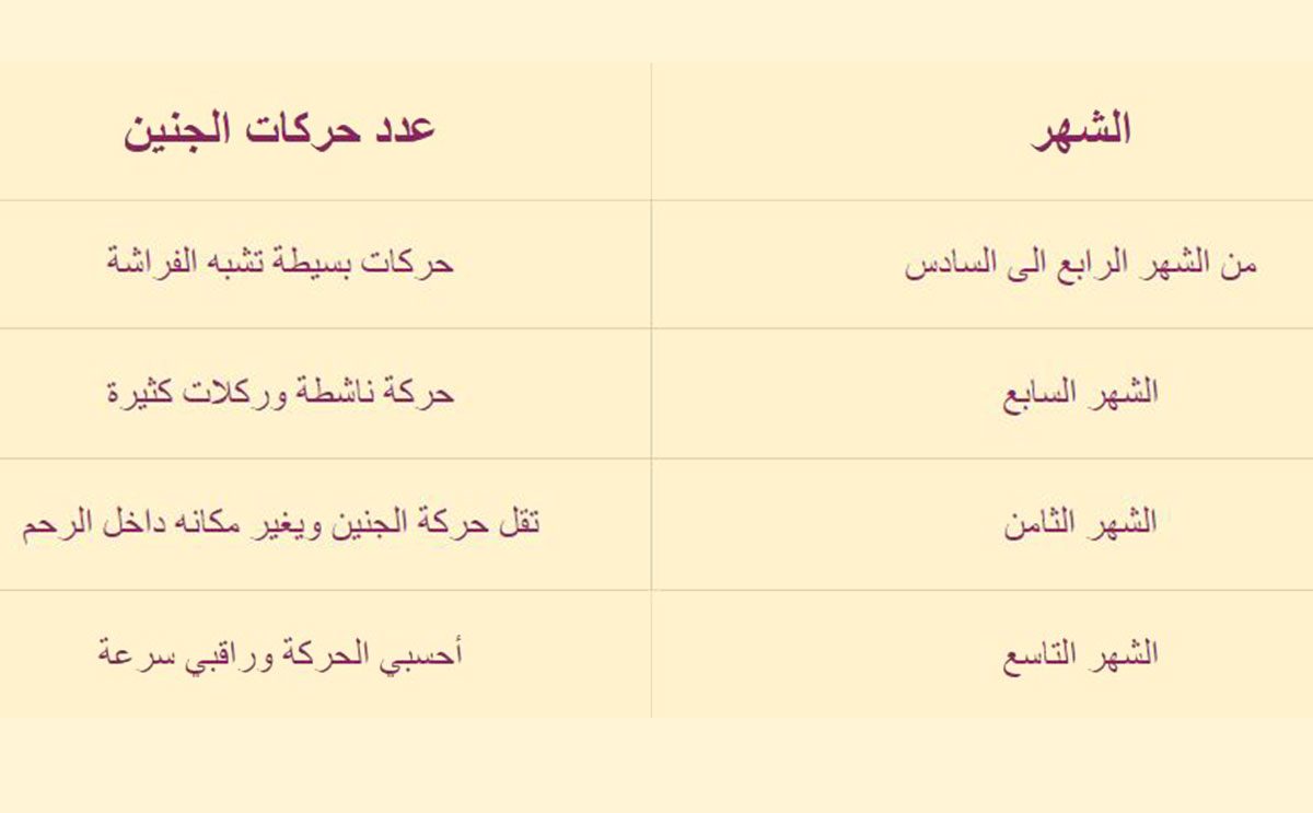 جدول بعدد حركات الجنين حسب شهر الحمل