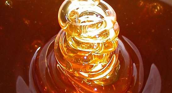 العنبر للتسمين | فوائد العنبر للتسمين