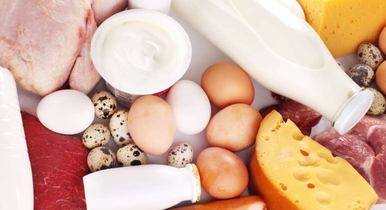 Egg, Food, Plant