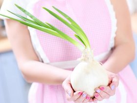 هل البصل يسحب السموم من الجسم وما فوائده على الصحة؟