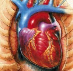 إكتشاف الجينات التي تتسبب بأمراض القلب
