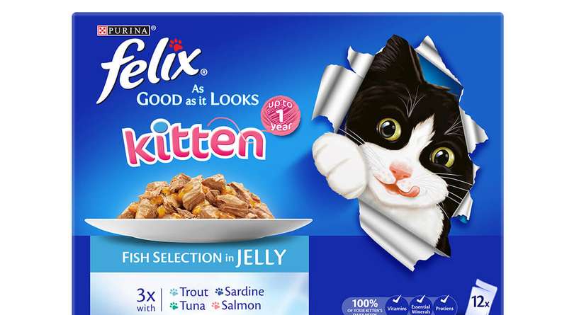 FELIX® kitten - As Good As It Looks Fish Selection
