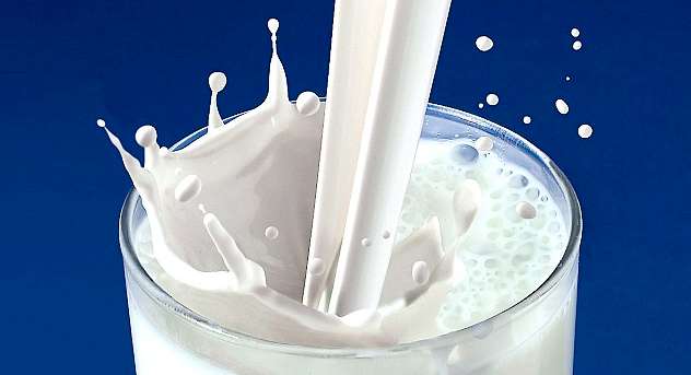 تناول الحليب يساعد على خسارة الوزن