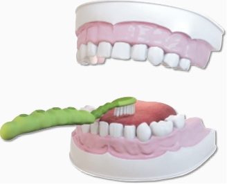6 خطوات لتنظيف الاسنان