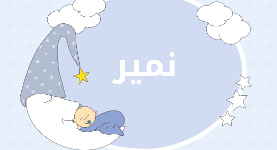 معنى اسم نمير