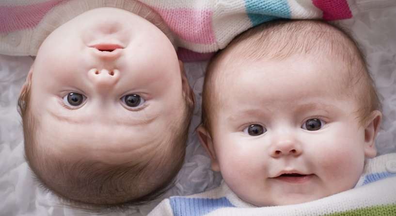 أسماء مواليد مستوحاة من النبات