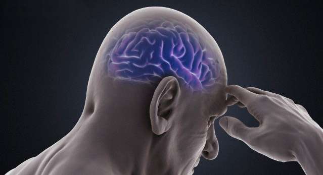 Head, Person, Human