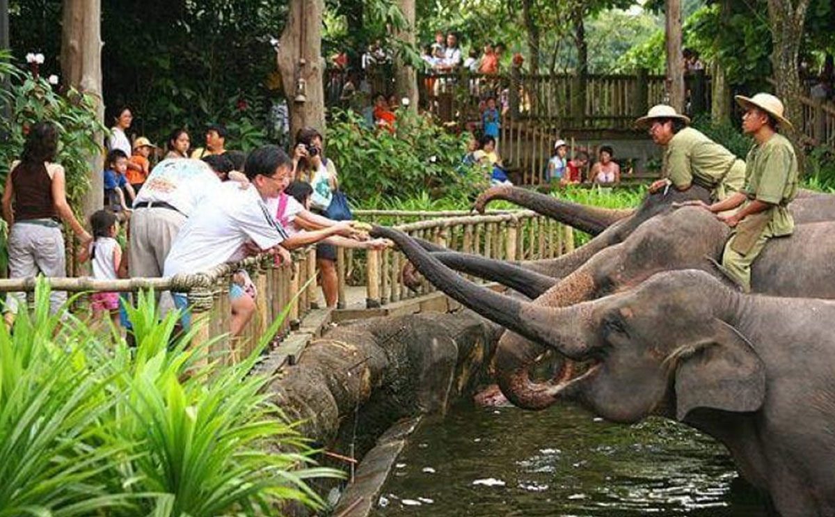 حديقة حيوانات سنغافورة