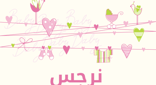 ما معنى إسم نرجس؟