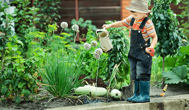 نشاطات زراعية للاطفال
