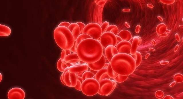 انيميا الدم | مرض فقر الدم، بحث عن فقر الدم