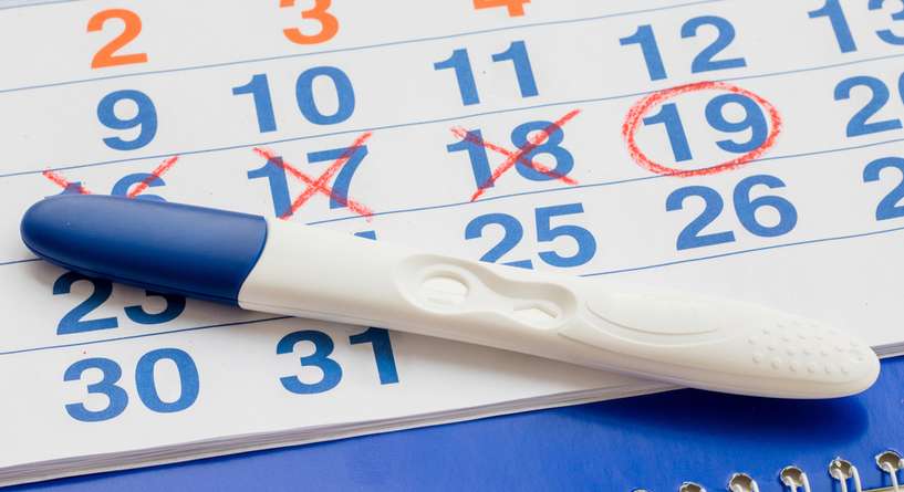 Text, Calendar