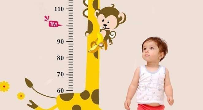 كيفية توقع طول الطفل حين يبلغ سن الرشد