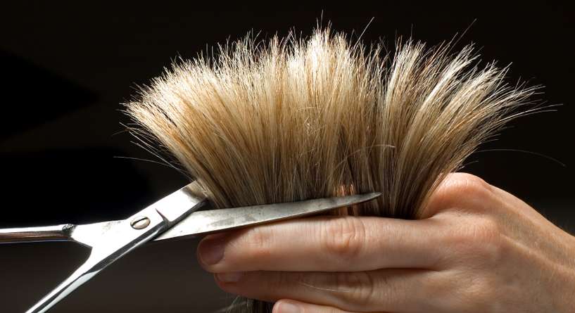 Person, Human, Hair