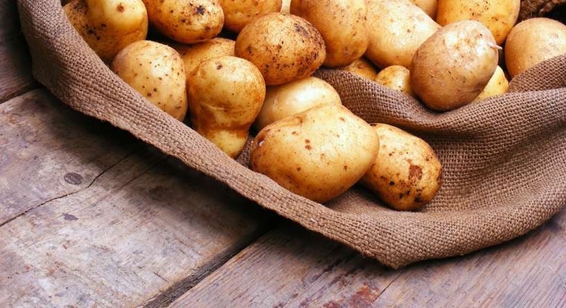 طرق حفظ وتخزين البطاطس خطوة بخطوة