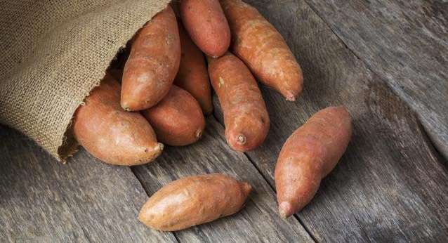 فوائد البطاطا الحلوة على الصحة