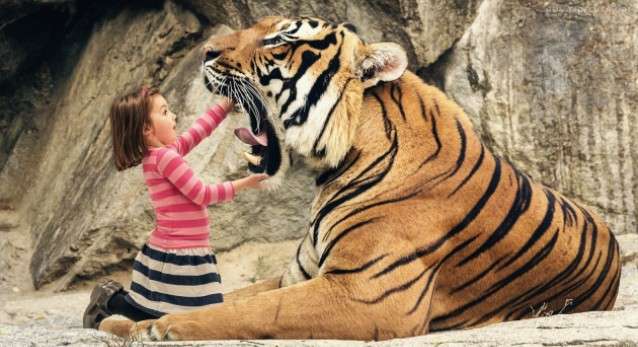 نصائح لسلامة الاطفال في حديقة الحيوانات