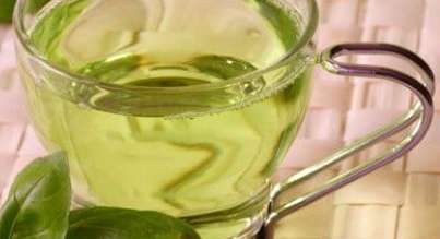 الشاي الأخضر يقي المخ من الإصابة بالزهايمر