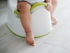 تعليم الطفل الحمام بعمر سنتين وحقائق لم تعرفيها عنه