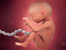 جدول وزن الجنين في الشهر السابع