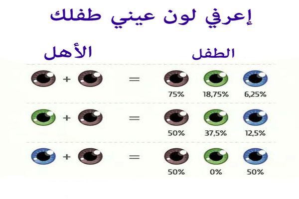 ما سيكون لون عيني طفلكِ المستقبلي؟