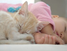 فيديو طفل يرفض الخلود إلى النوم وقطته تتدخل