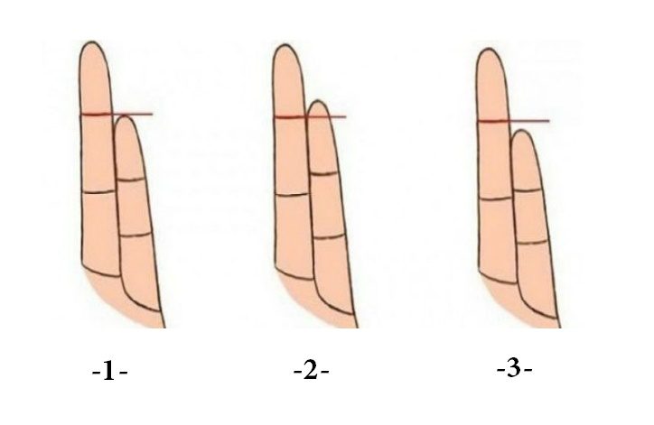 تحليل الشخصية من طول إصبع الخنصر