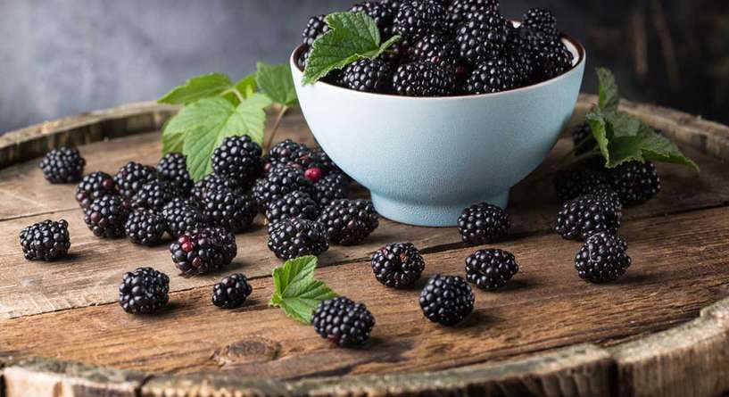 فوائد التوت الاسود الصحية