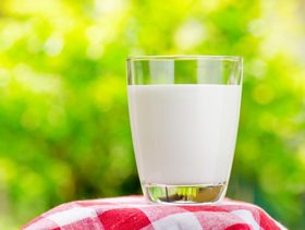 ماذا تُقدّمين لأطفالكِ في الصباح؟